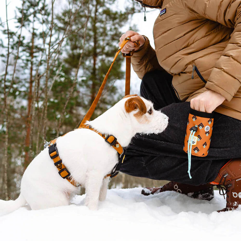 Wolf leash shop