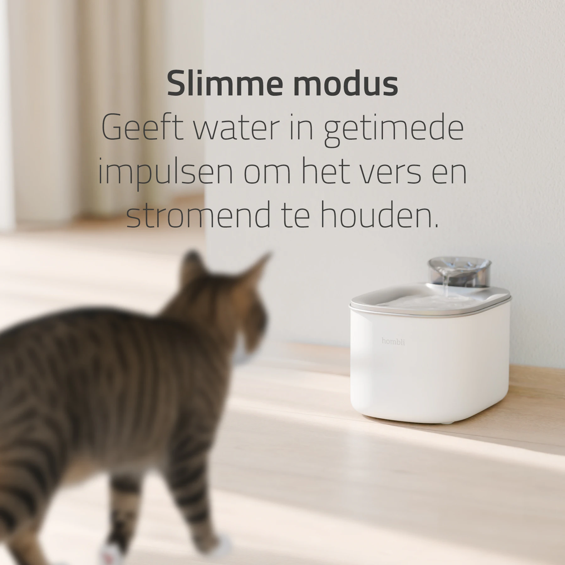 Hombli Smart Drinkfontein