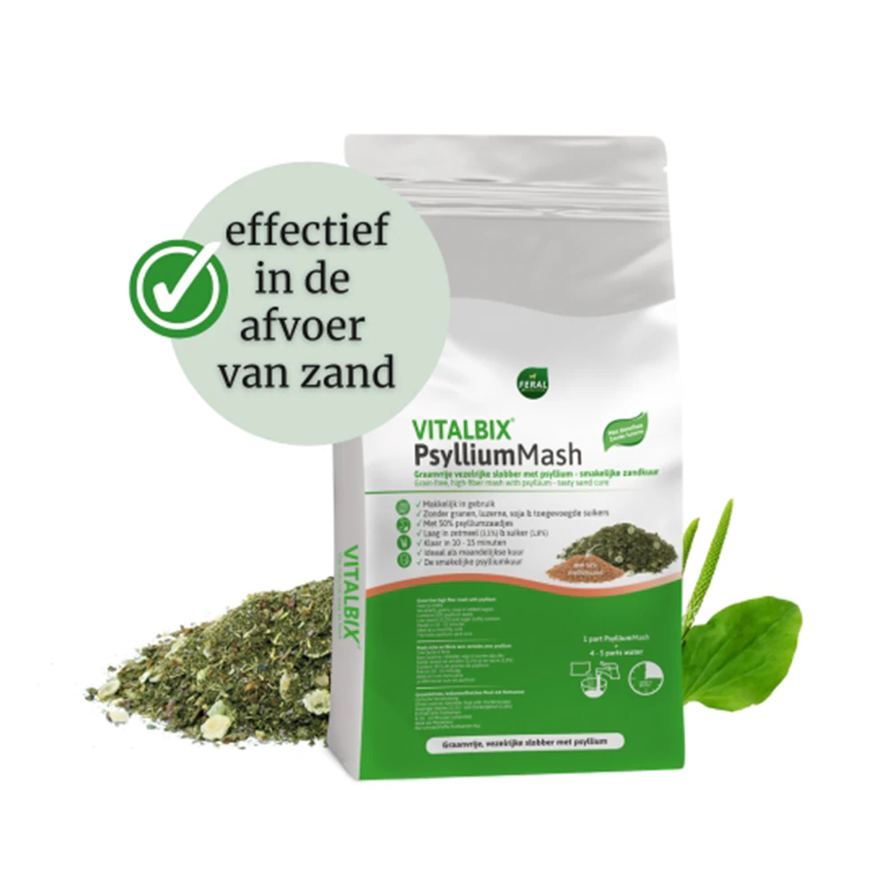 Vitalbix PsylliumMash