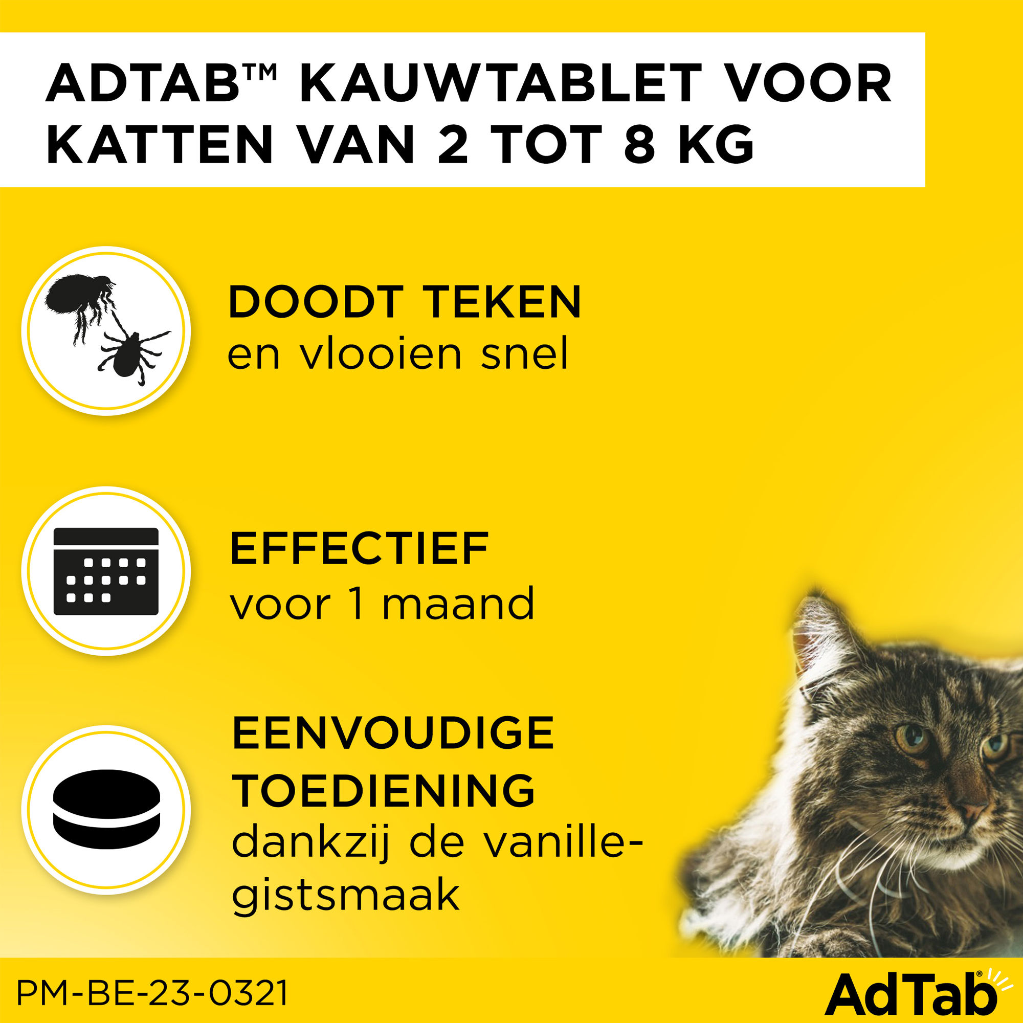 AdTab Kauwtabletten Kat