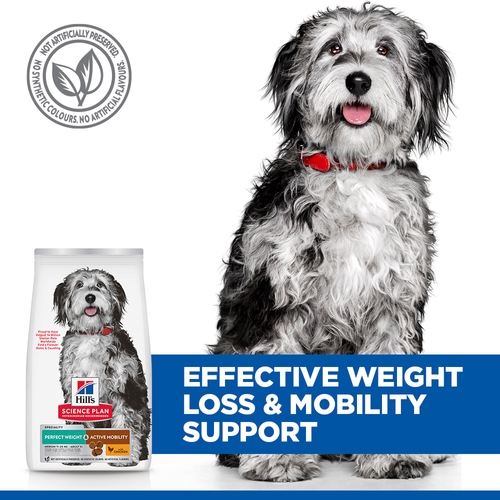 Hill's Science Plan - Perfect Weight & Active Mobility - Medium