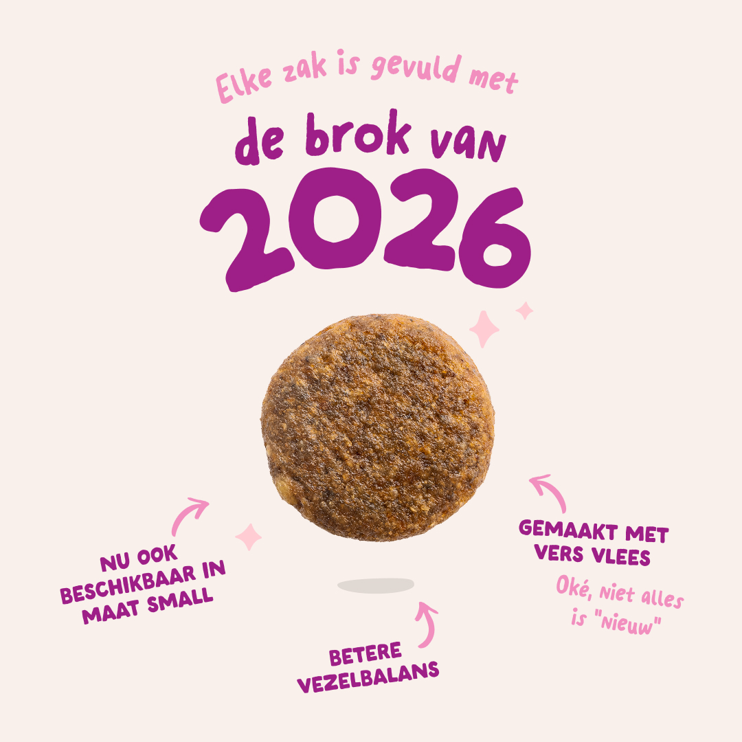 Edgard & Cooper Puppy - Eend & Kip