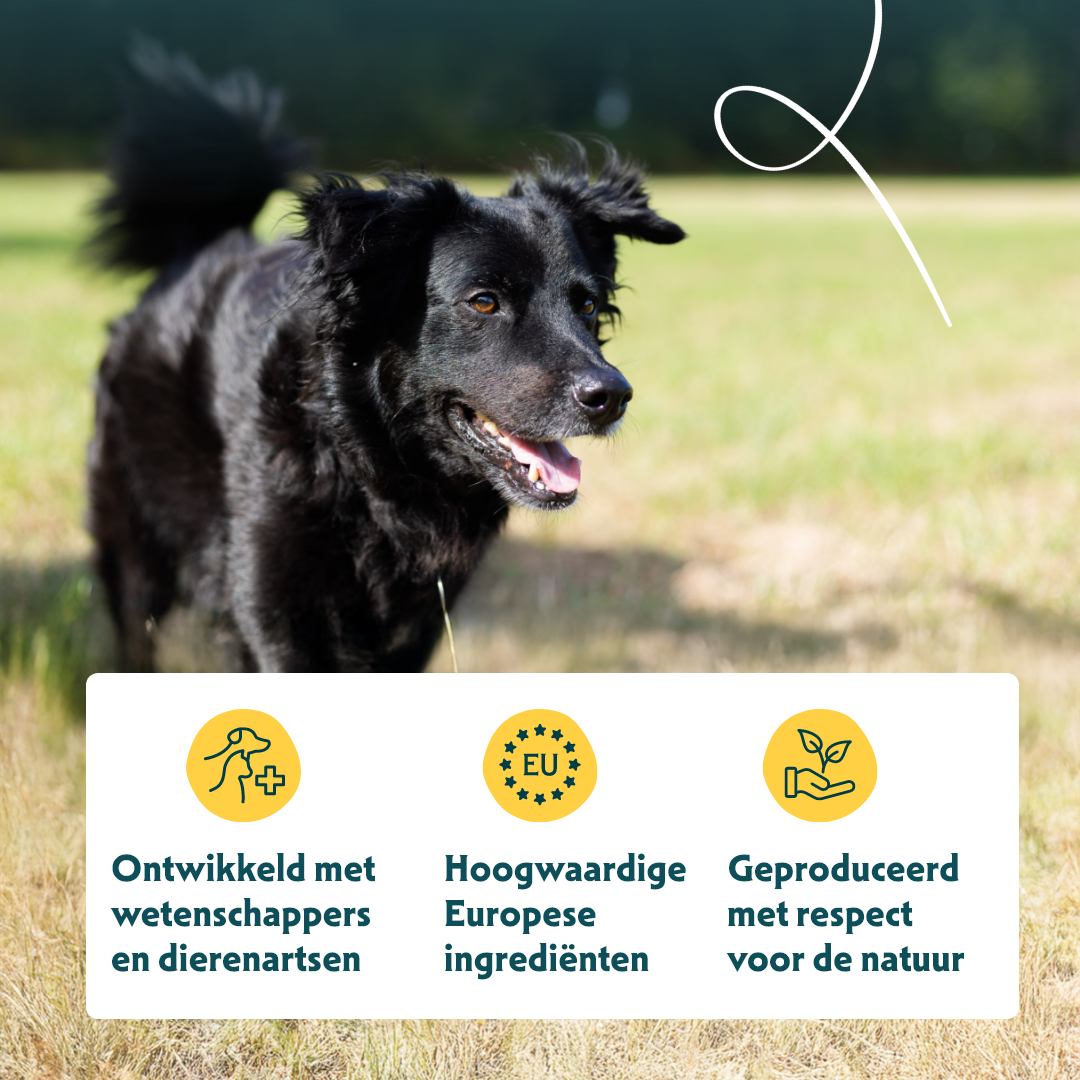 Yarrah -  Droogvoer Hond Senior Bio