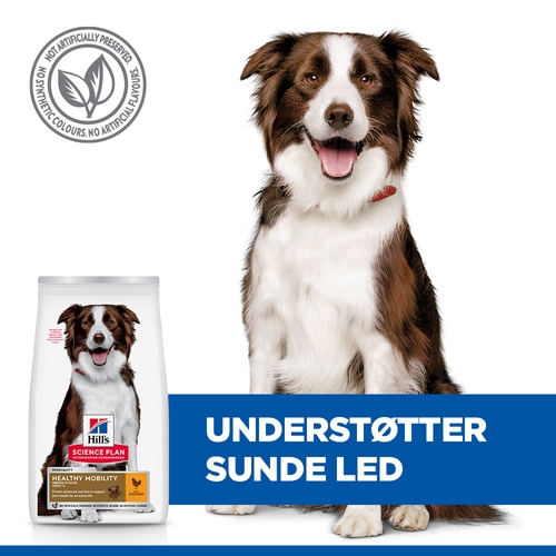 Hill's Science Plan Adult Healthy Mobility Medium Hundefoder - Kylling