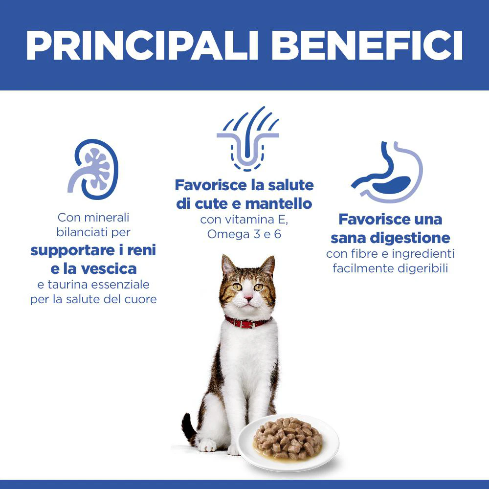 Hill's Science Plan Mature Adult - Pollo - Bustina Pasto