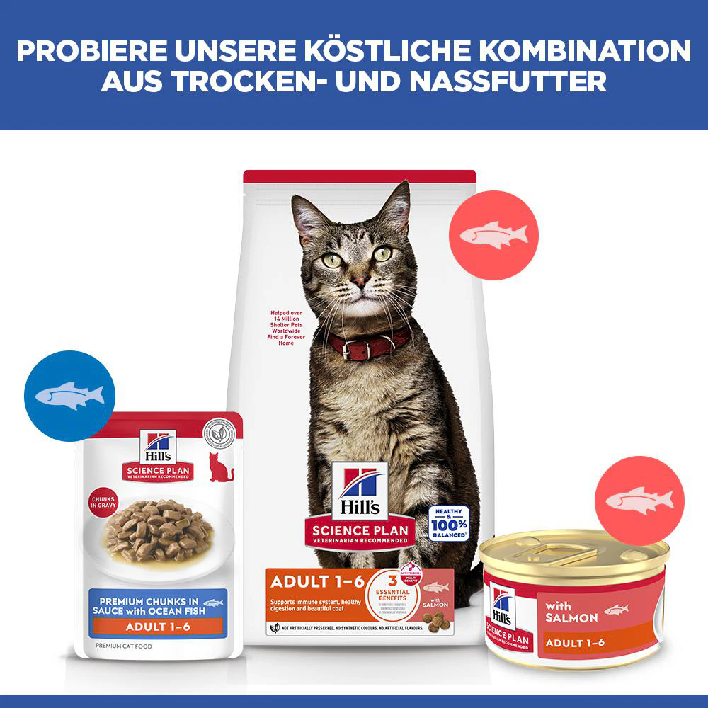 Hill's Science Plan Feline Adult Premium Mousse - Lachs