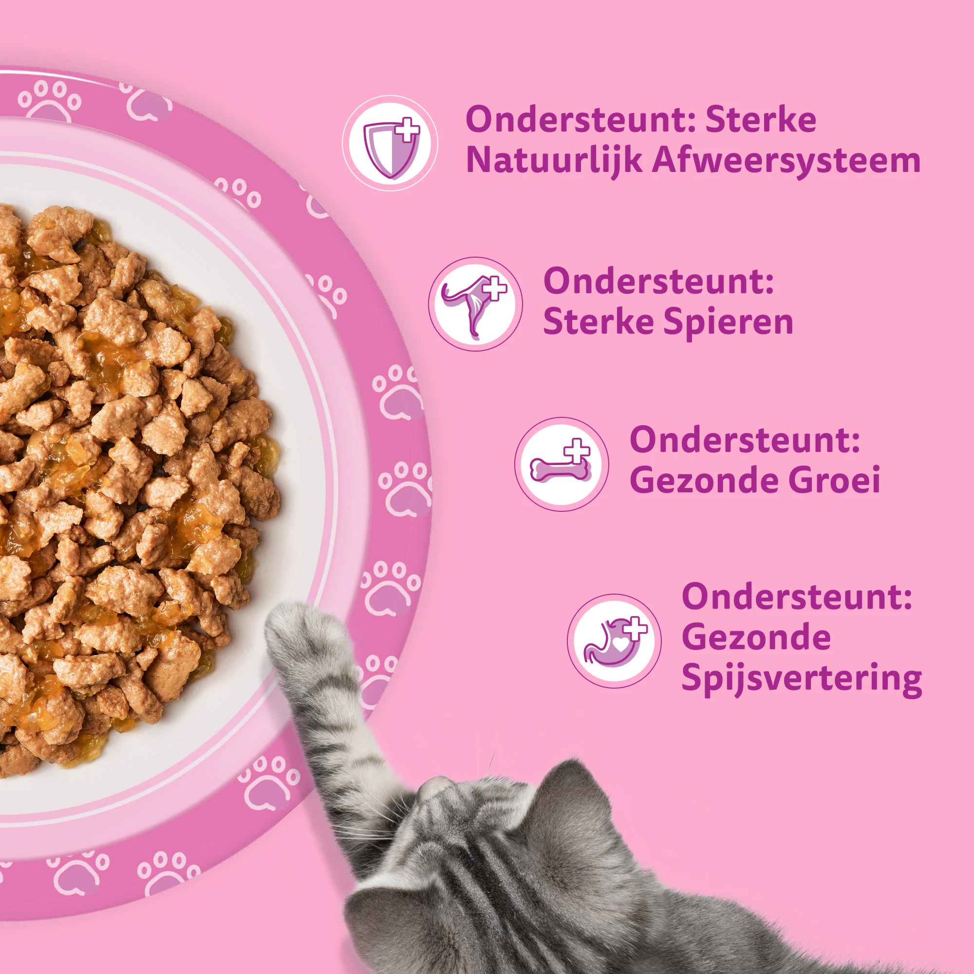 Whiskas Junior Gevogelte Selectie in Gelei - Multipack