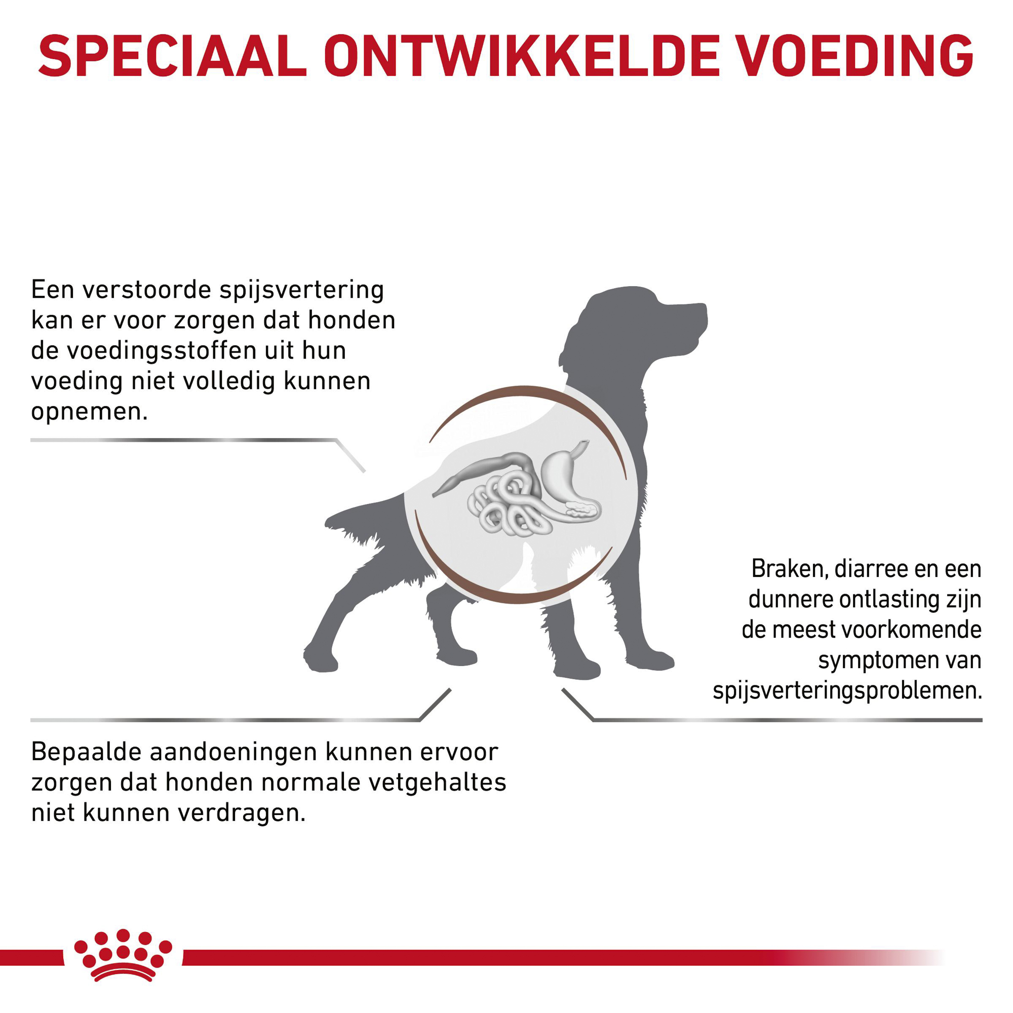 Royal Canin Gastro Intestinal Low Fat | Darmproblemen | Medpets.nl