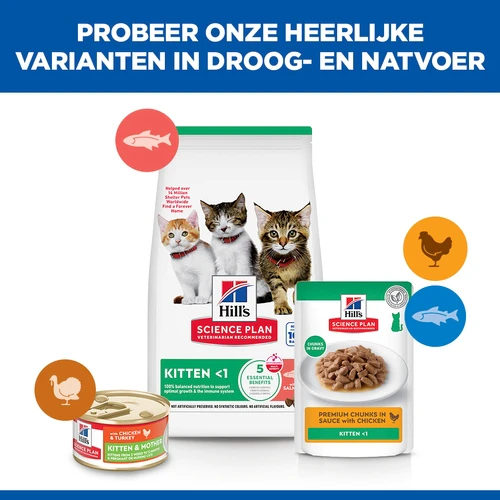 Hill's Science Plan - Kitten - Zalm