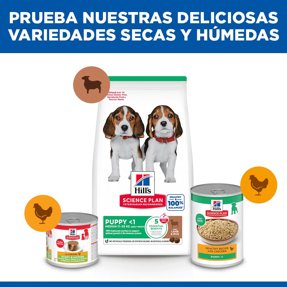 Hill's Science Plan - Puppy - Medium - Cordero y Arroz