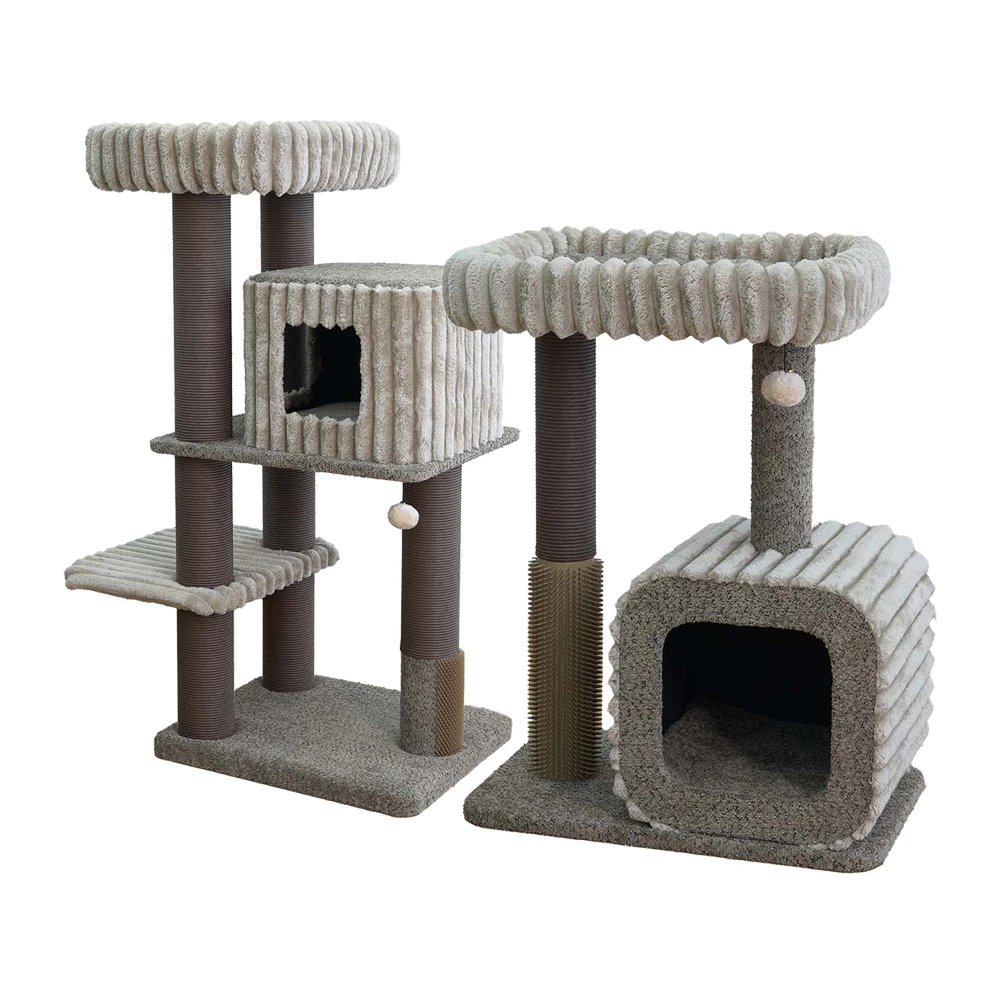 Ebi Kratzbaum Pisa & Palermo