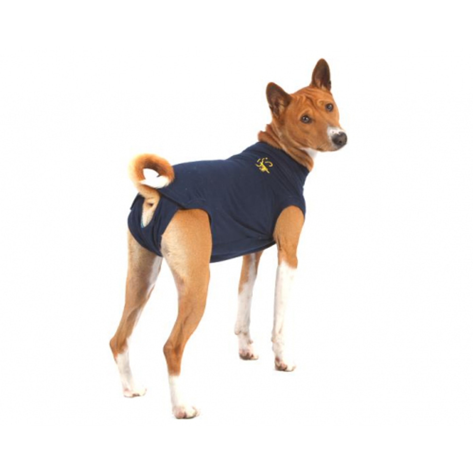 MPS-Medical Pet Shirt Chien  Comment enfiler sur votre chien ? 