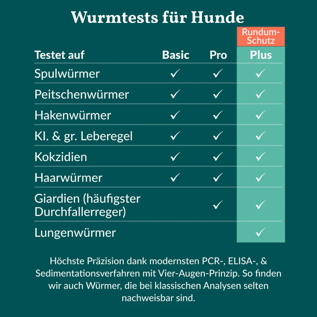 Vetevo Wurmtest Plus Hund