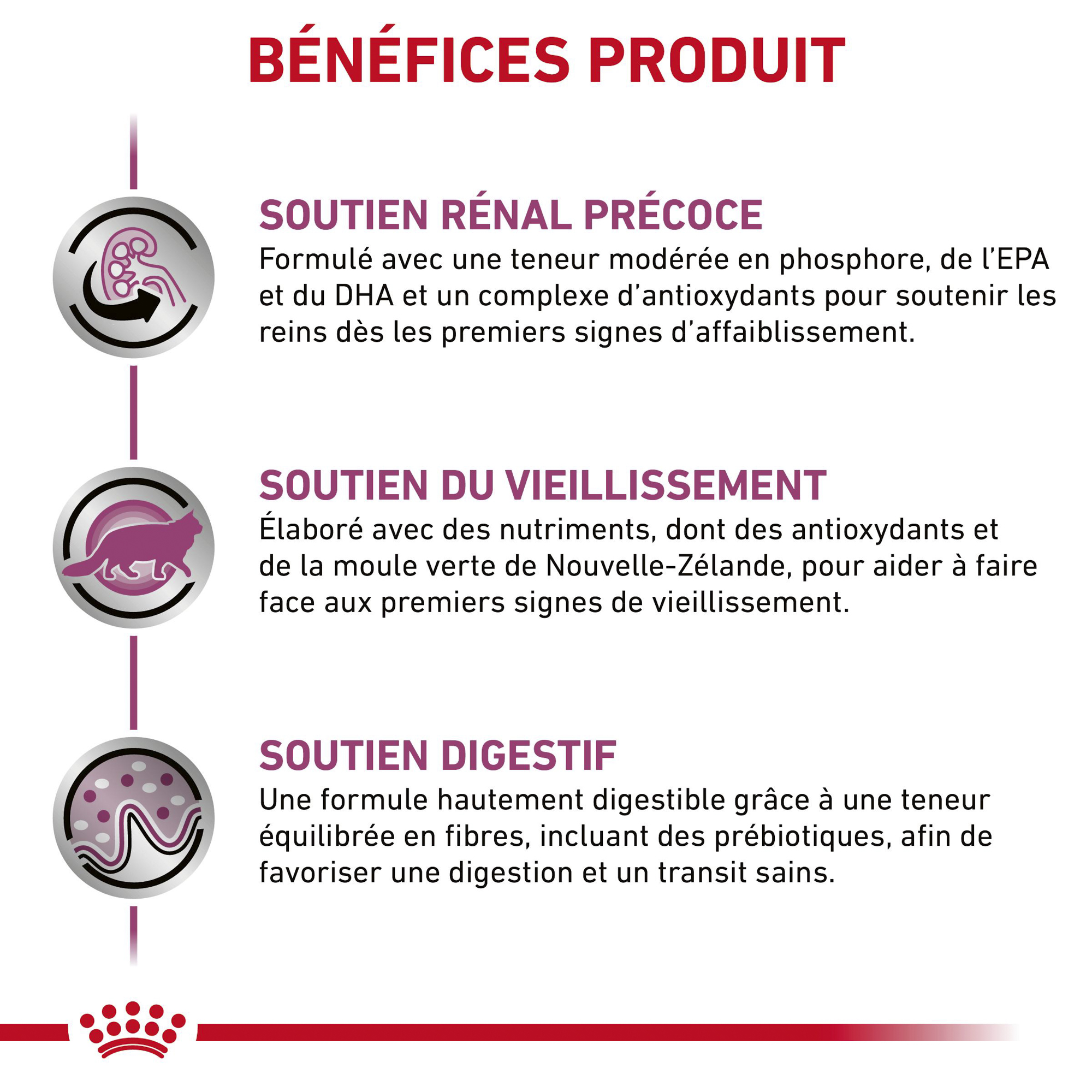 Royal Canin Early Renal - Chat