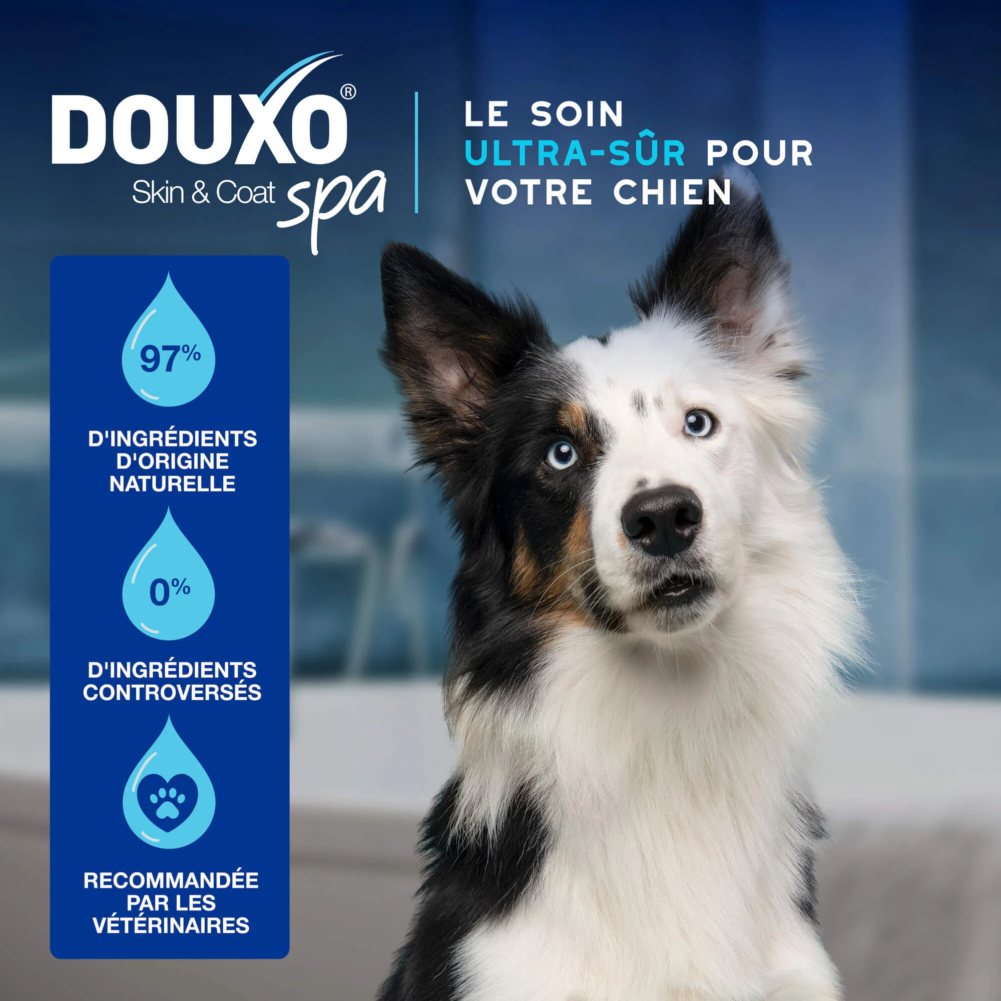 Douxo Spa Mousse pour Chien