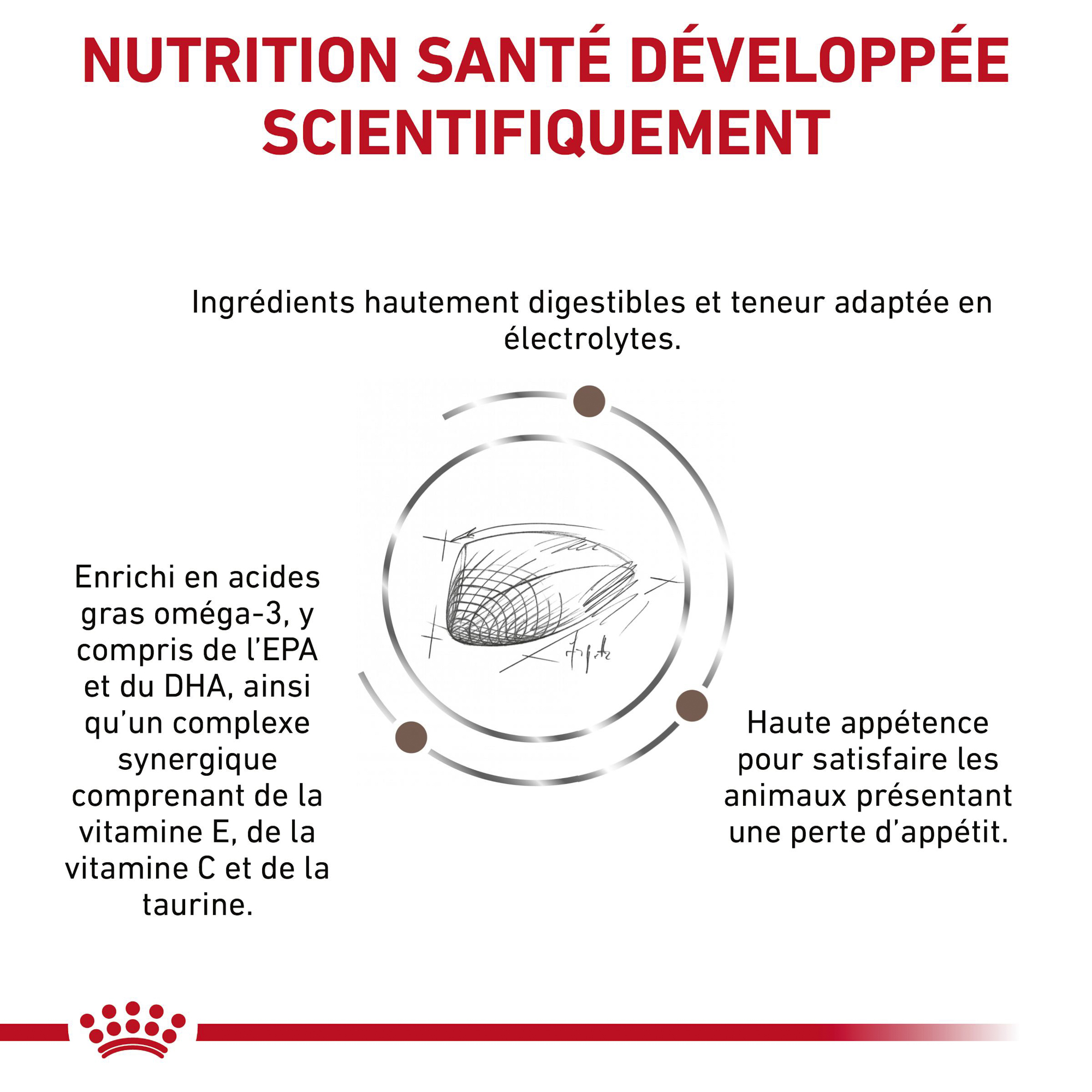 Royal Canin Gastrointestinal Chat