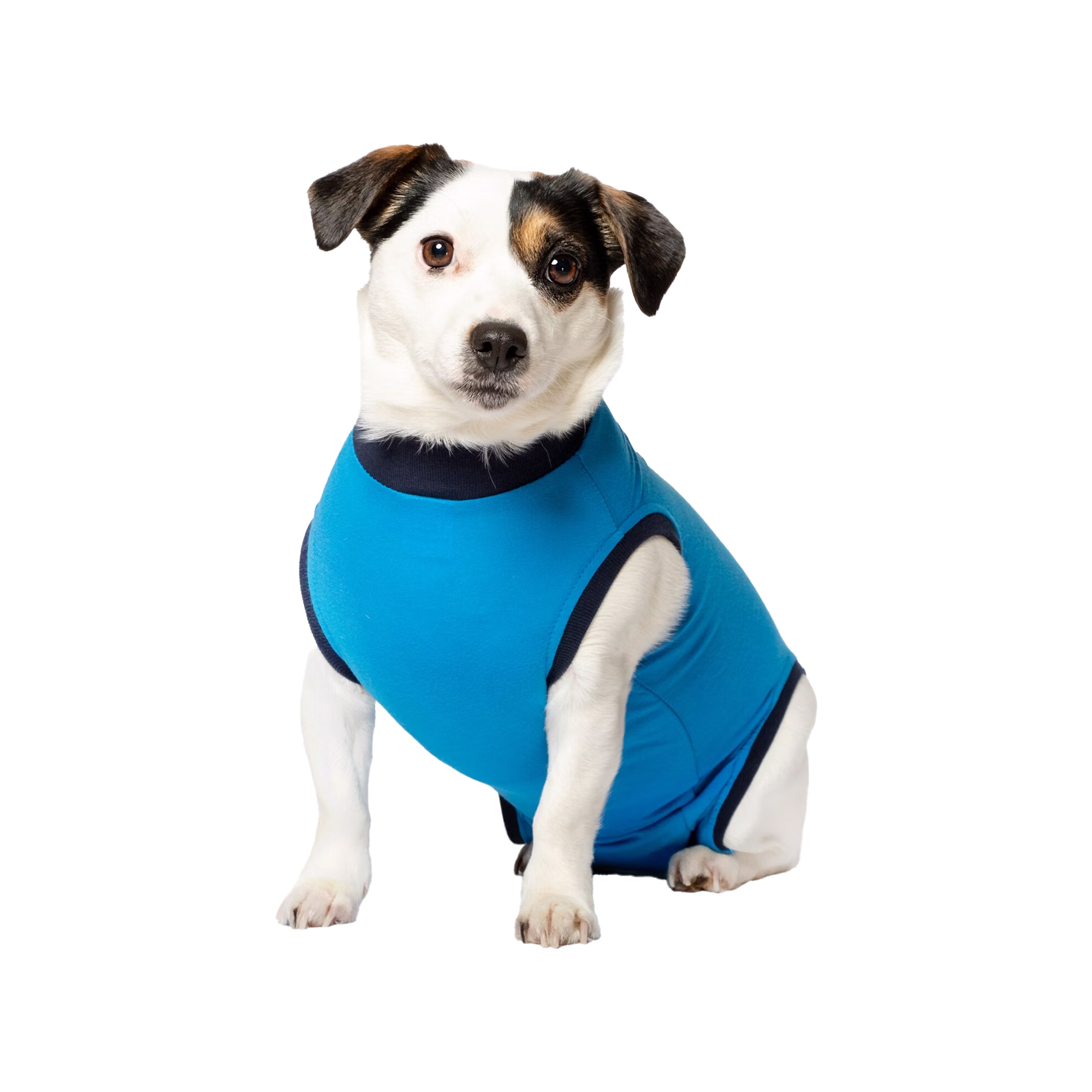 Jacketz Medical Bodysuit Hund - M+ - Blue