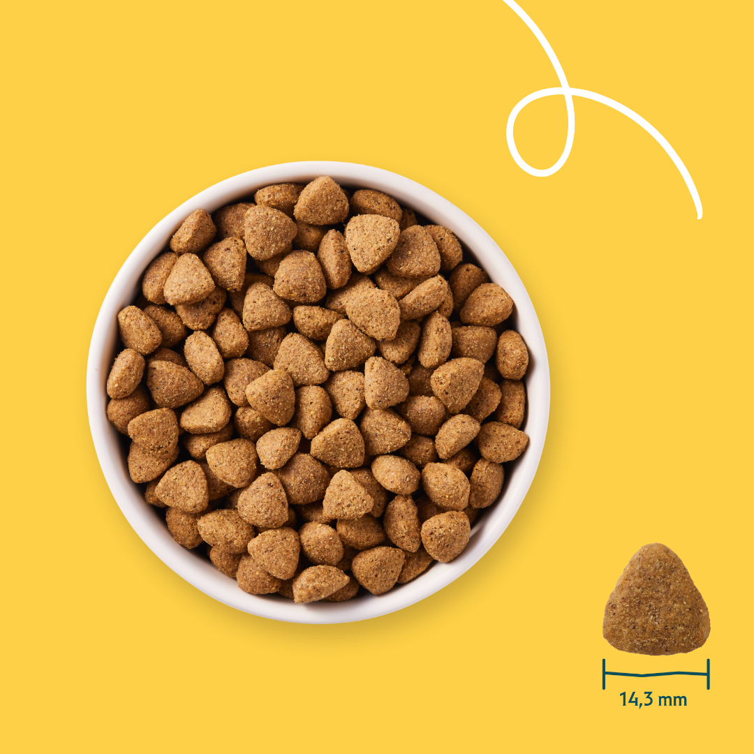 Yarrah Vega Bio Hundefutter