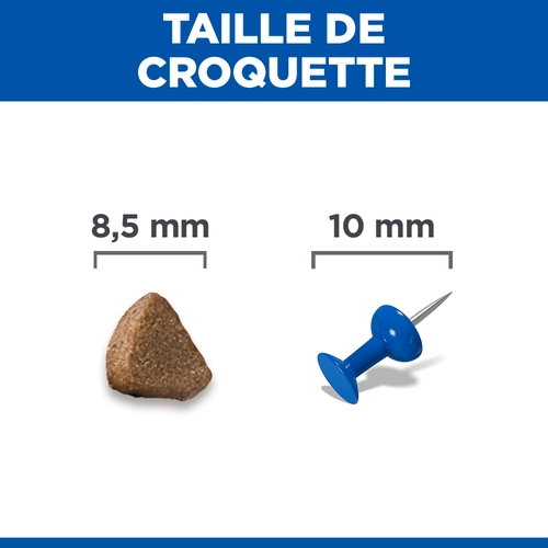 Hill's Science Plan - Kitten - Salmon