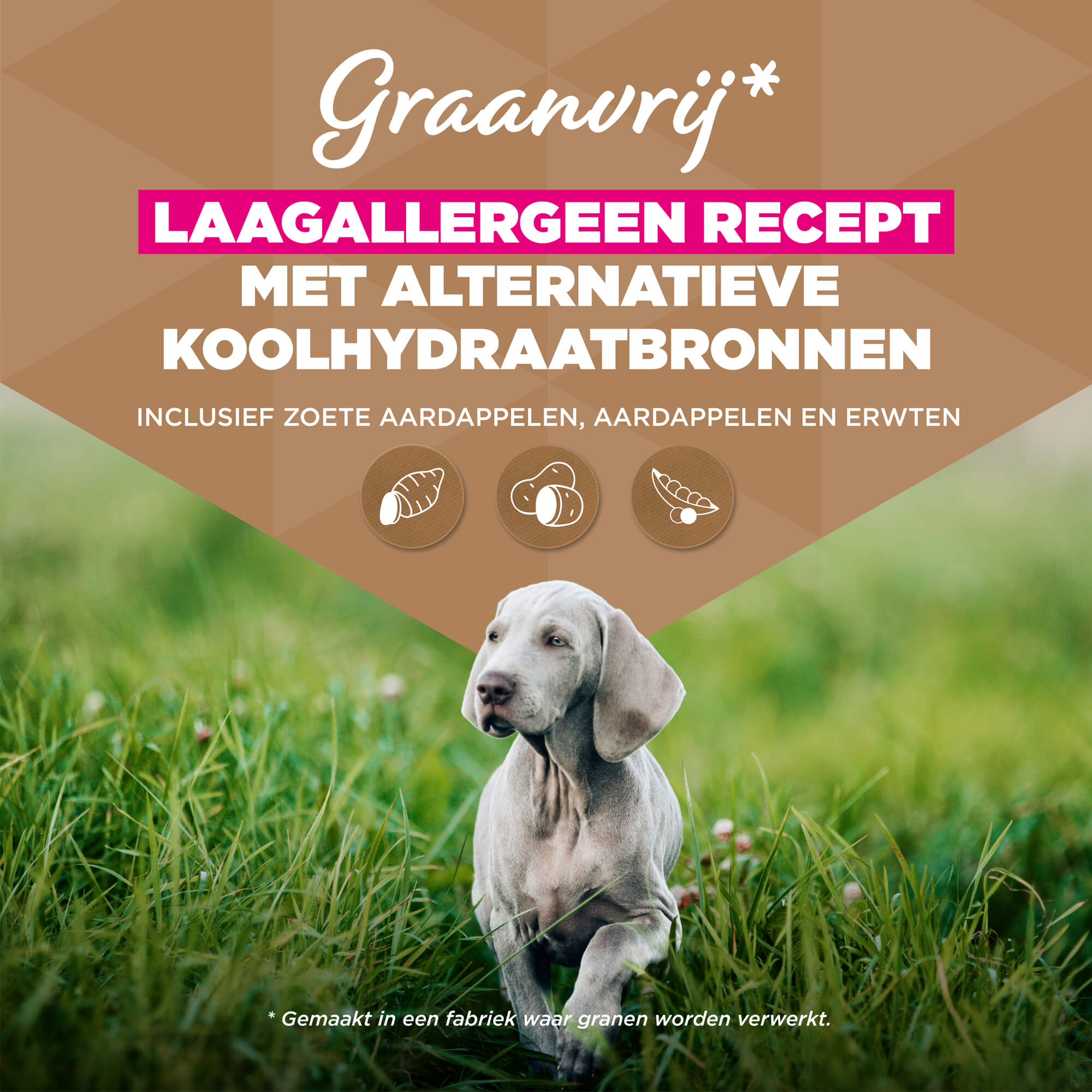 Eukanuba Dog Junior Large Grainfree Hondenvoer