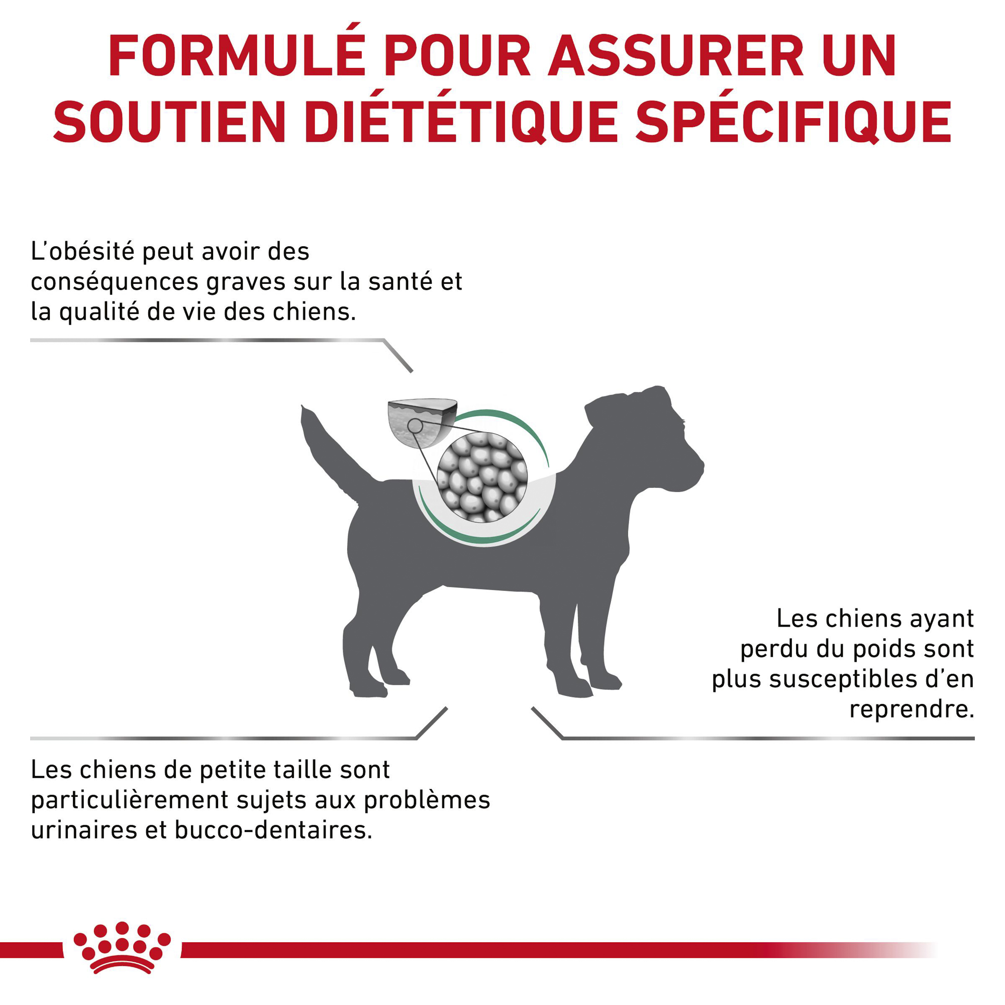 Royal Canin Satiety Petit Chien Commander Medpets