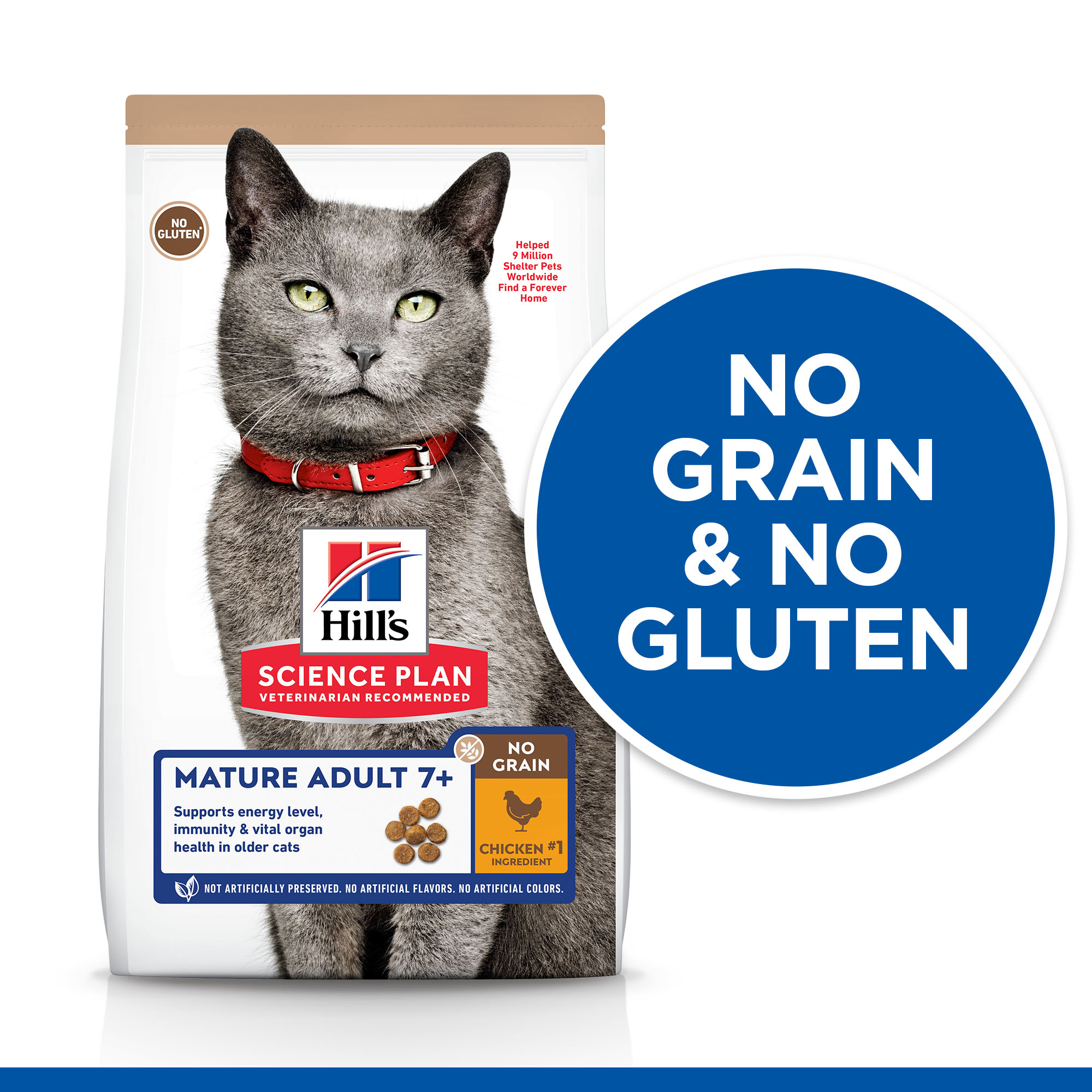 Blue mature cat store food