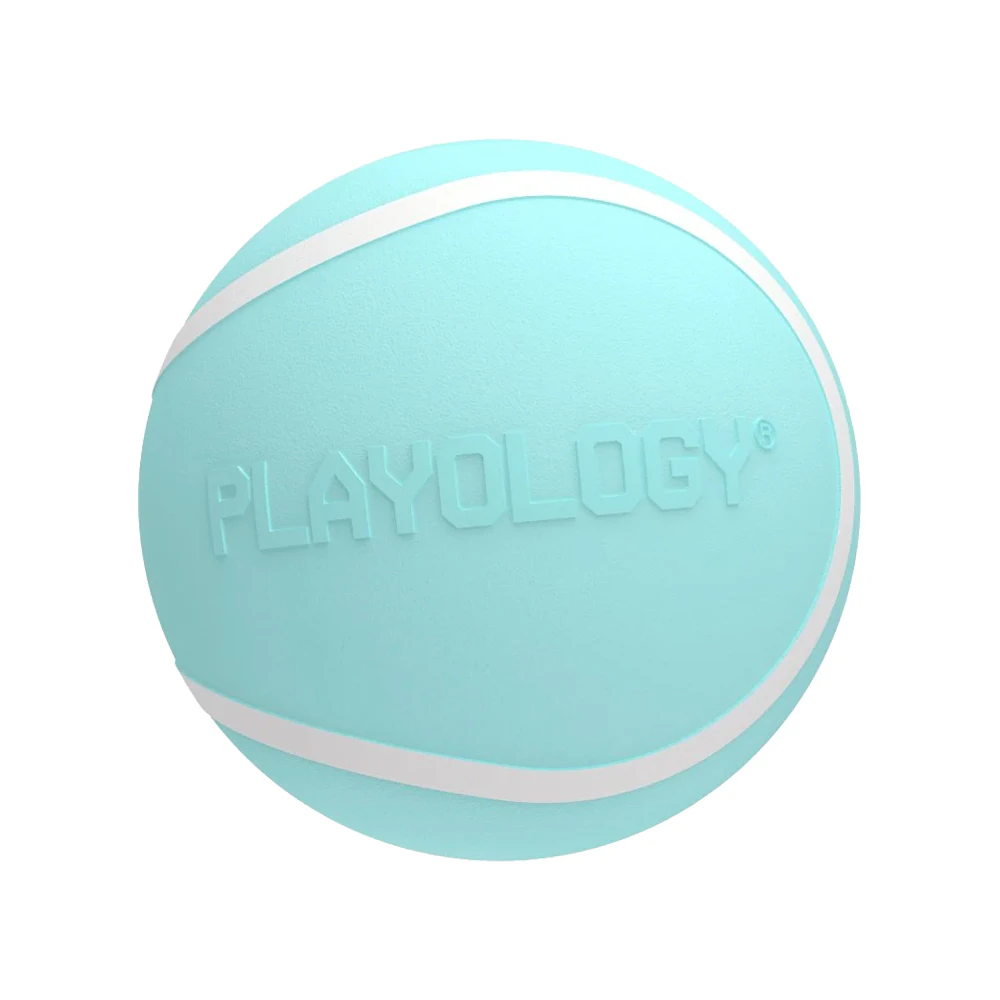 Playology Squeaky Chew Ball