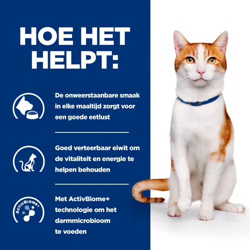 Hill's ON-Care Stew - Prescription Diet - Feline