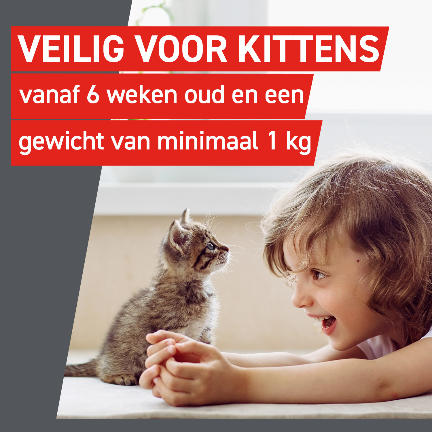 Frontcontrol Wormer Kat