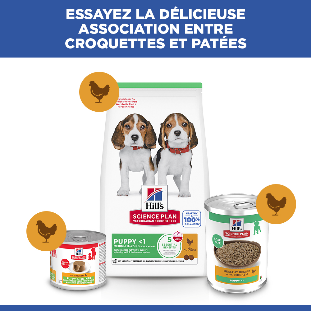 Hill's Science Plan - Medium - Puppy - Poulet - Boîte