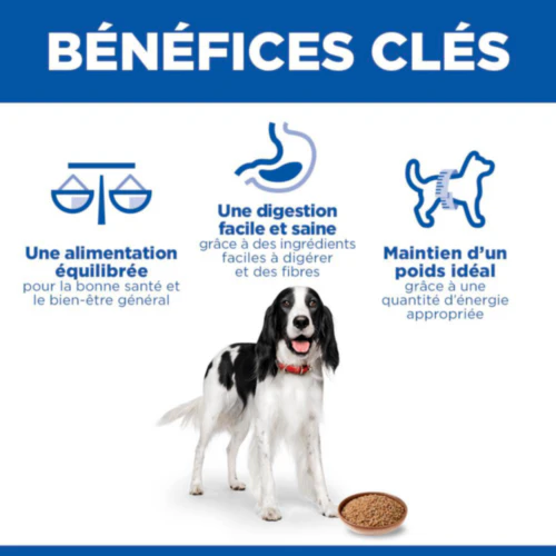 Hill's Science Plan Medium - Adulte - Dinde - Boîte