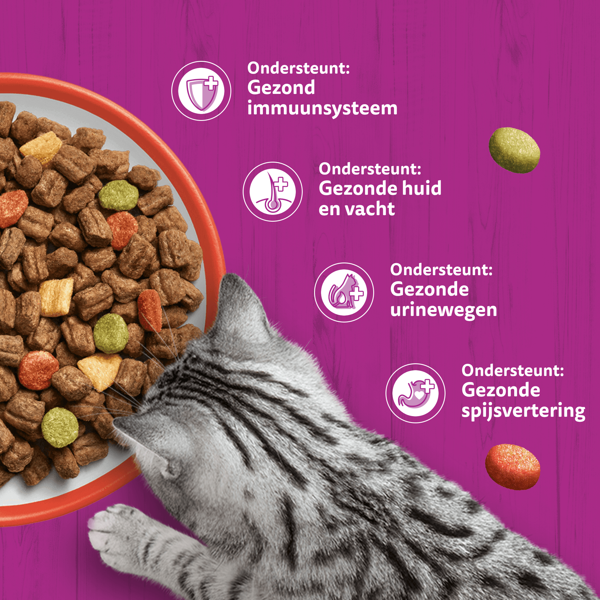 Whiskas Droog Adult Box