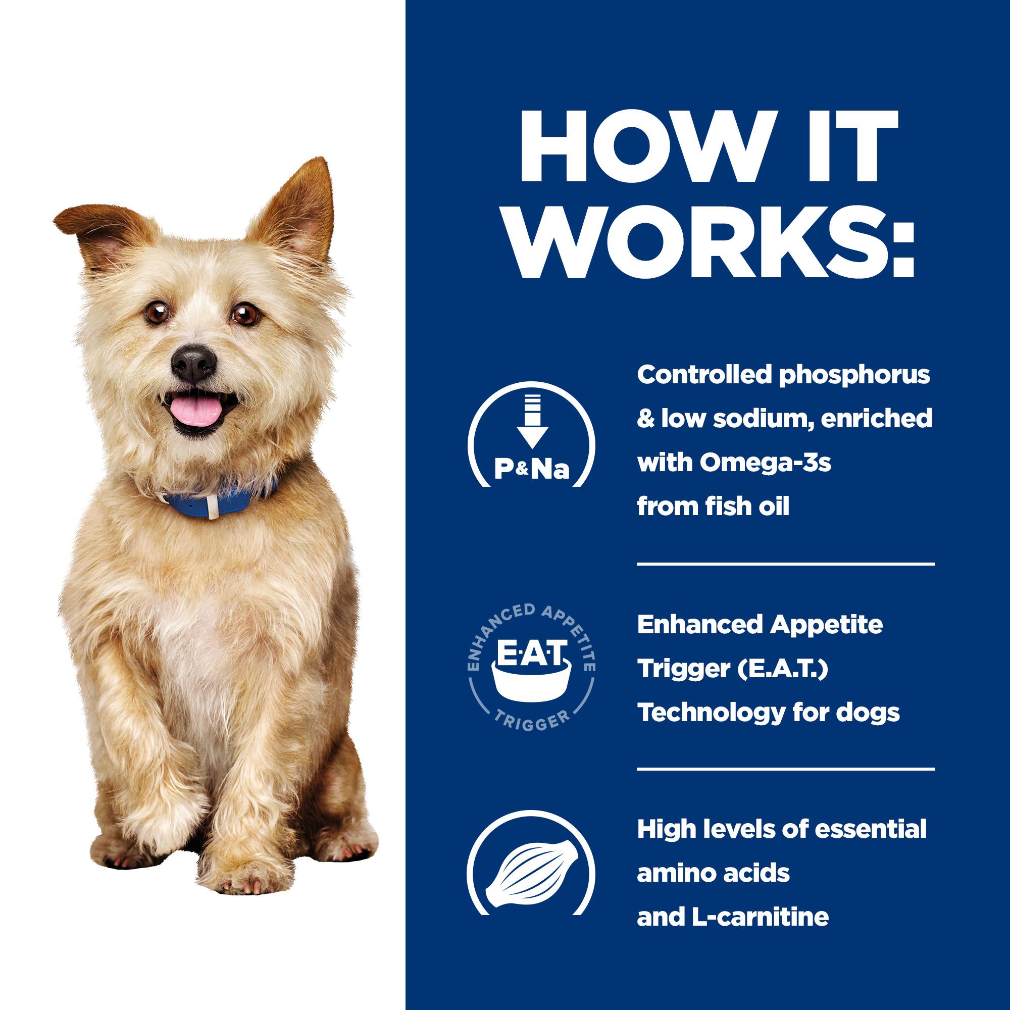 Hill's k/d Kidney Care - Prescription Diet - Canine