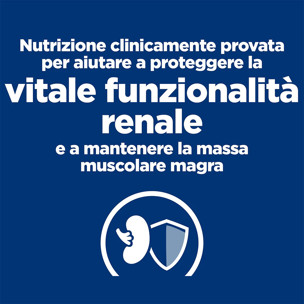 Hill's k/d Kidney Care - Prescription Diet - Feline - Buste Cibo Umido
