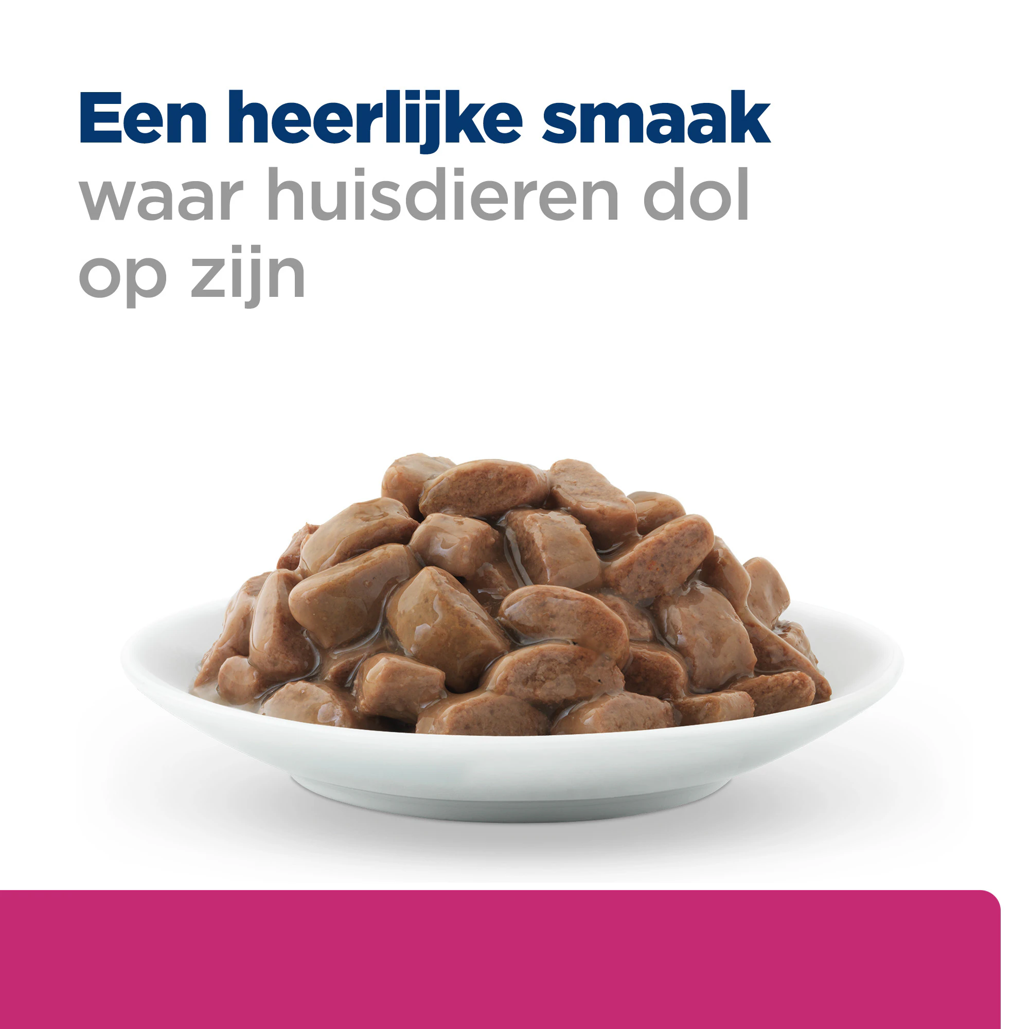 Hill's Prescription Diet - Gastrointestinal Biome - Feline - Natvoer