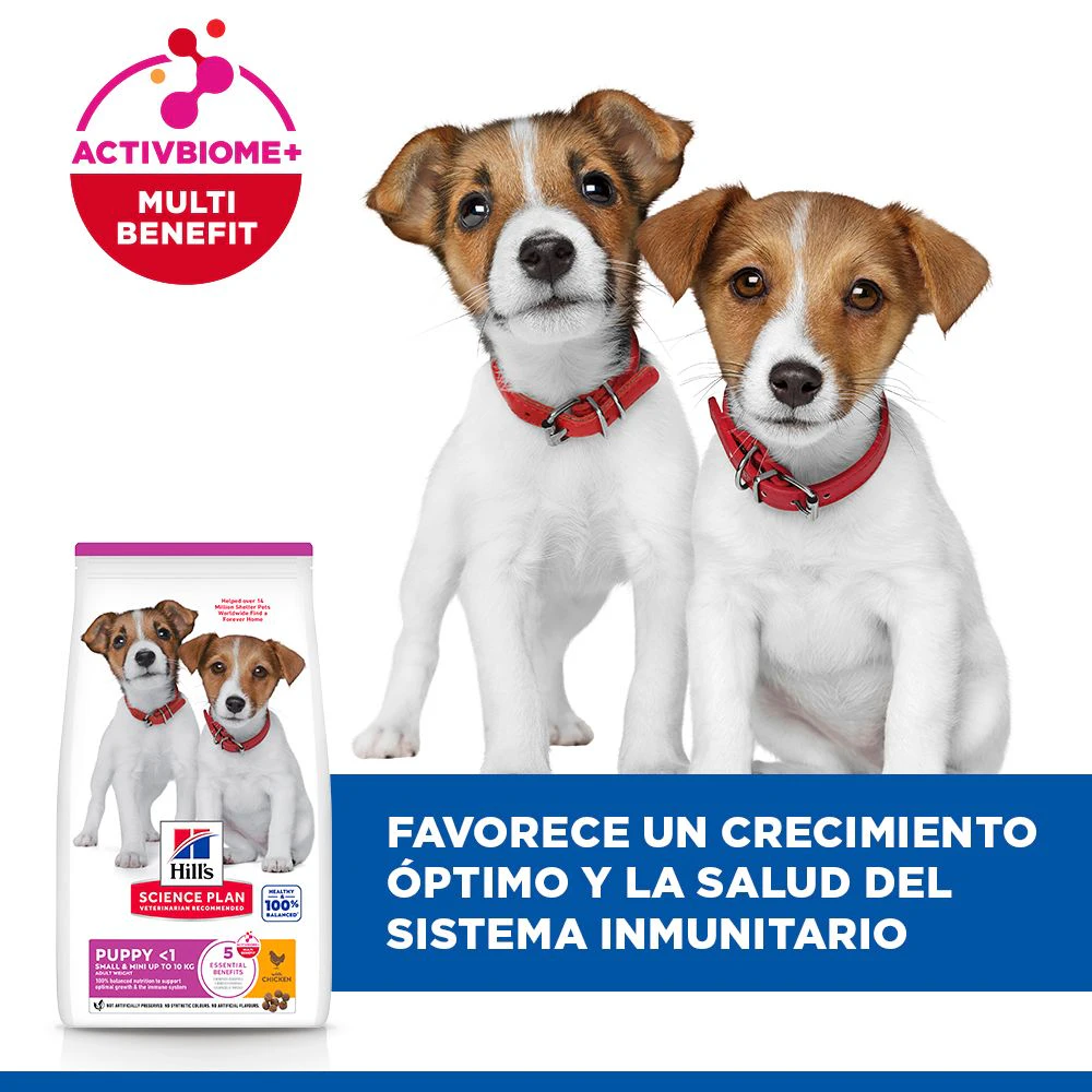 Hill's Science Plan Small & Mini - Puppy - Pollo