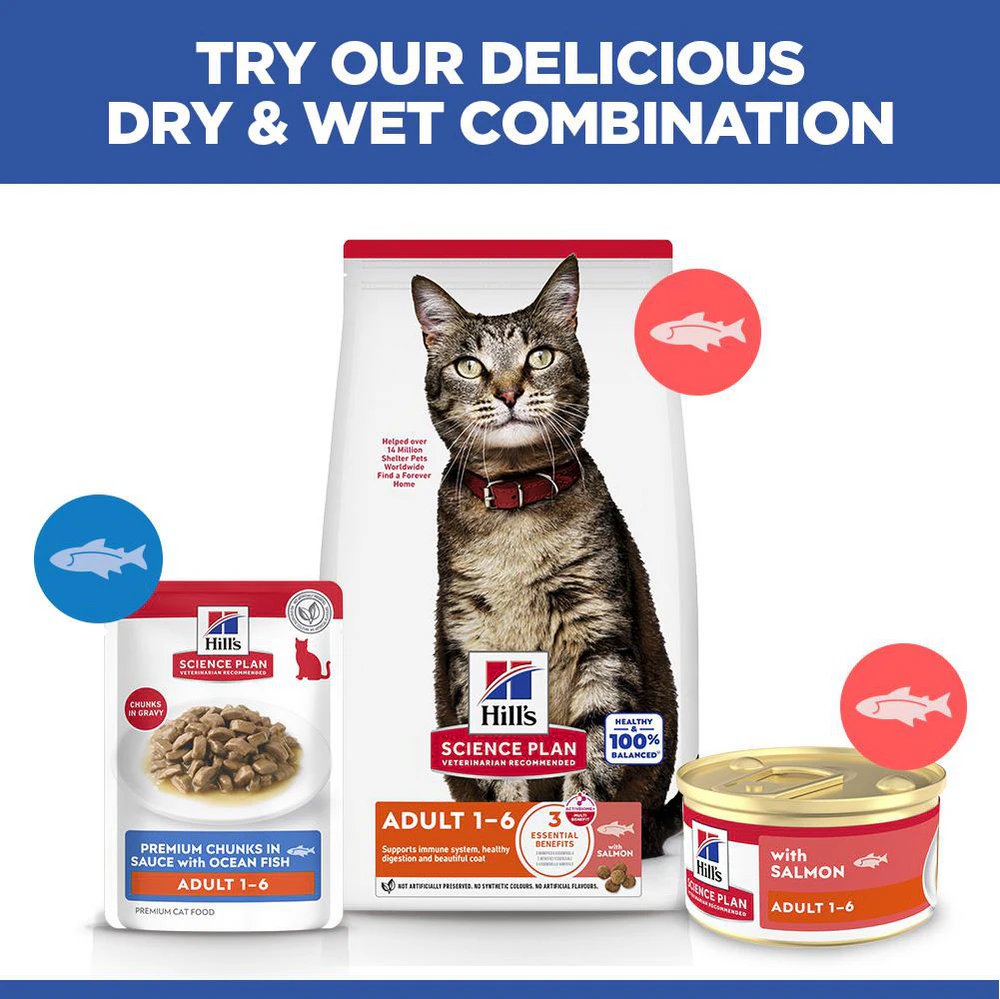 Hill's Science Plan Feline Adult Premium Mousse - Salmon