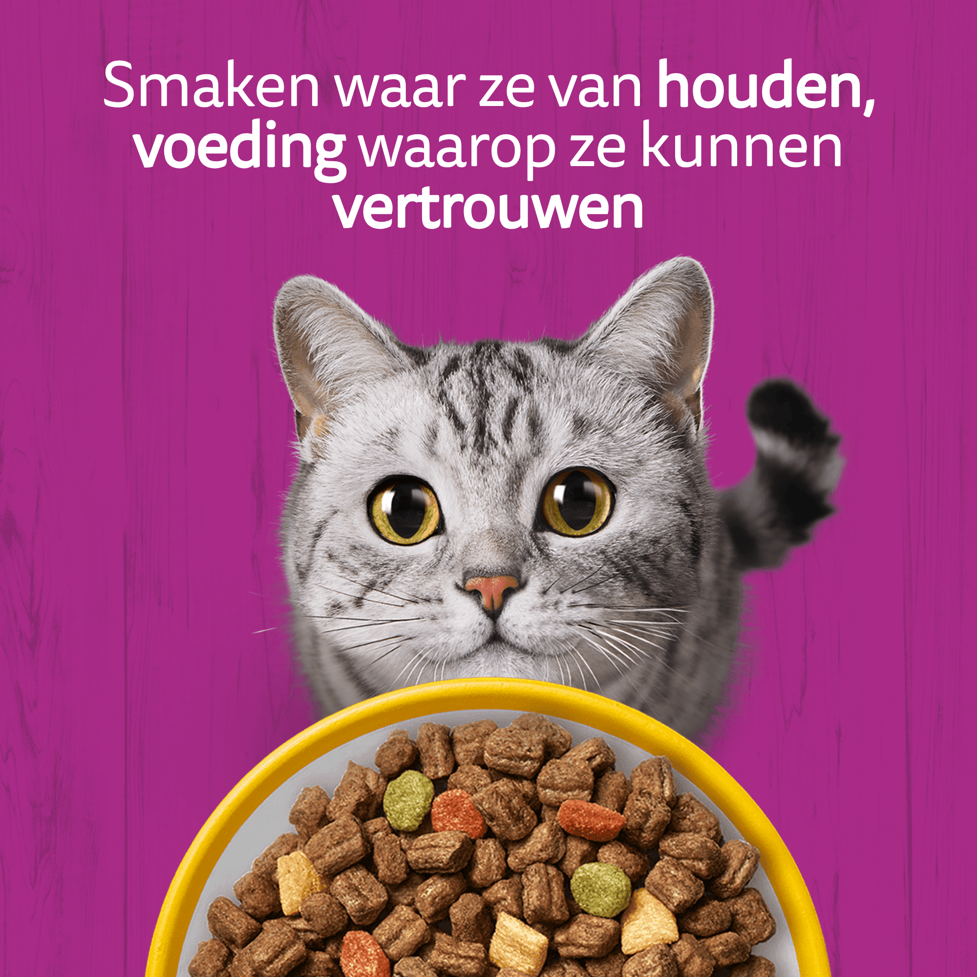 Whiskas Adult Kattenbrokken