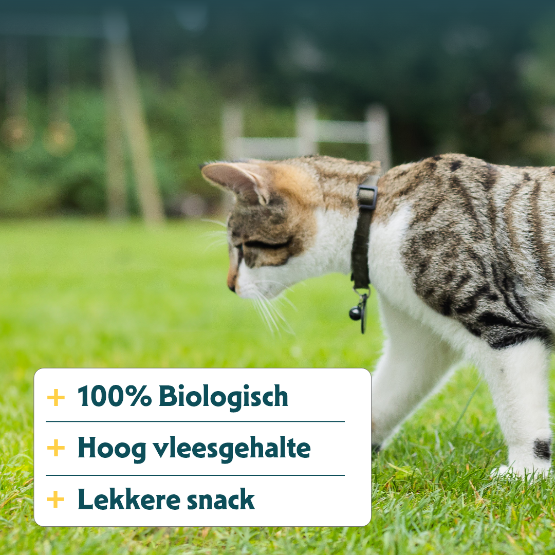 Yarrah - Kattensnack Mini Snack Bio