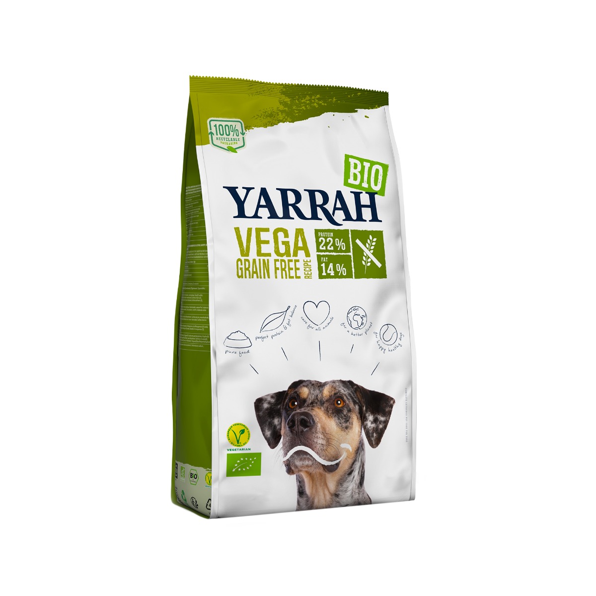 Organic grain 2025 free puppy food