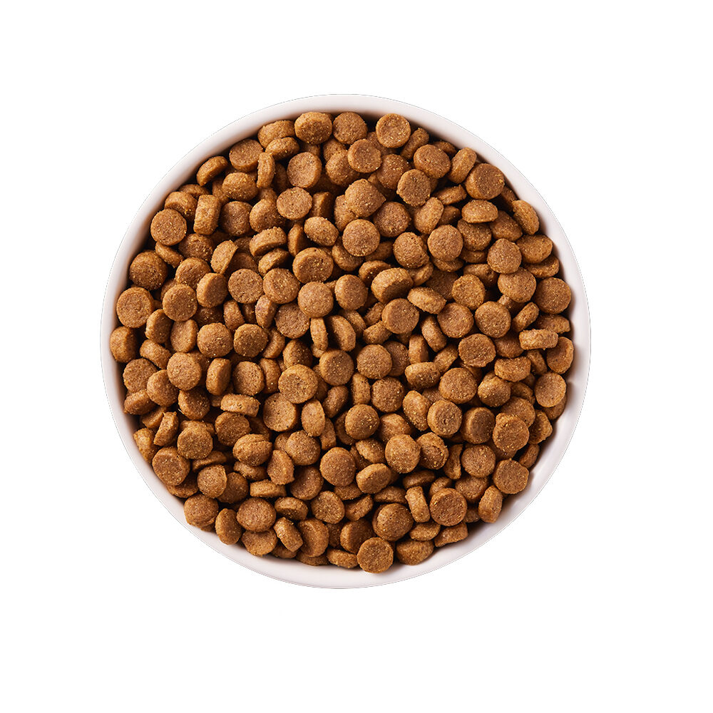 Yarrah best sale dog food