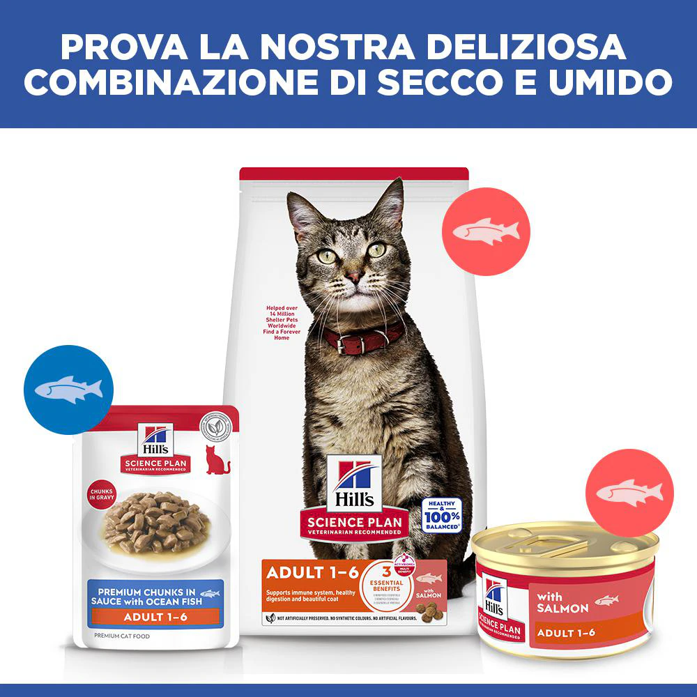 Hill's Science Plan Feline Adult Premium Mousse - Salmone