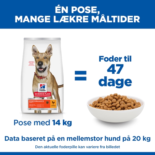 Hill's Science Plan Adult Performance Hundefoder