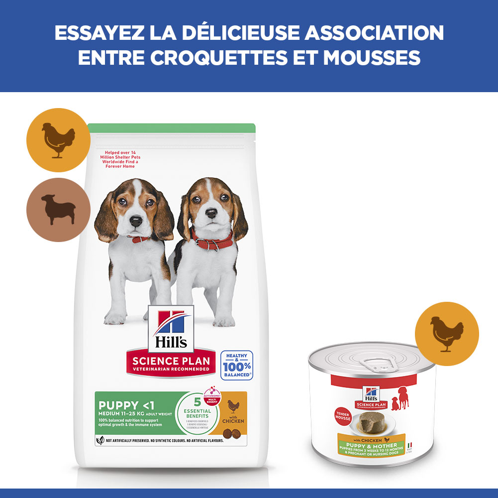 Hill's Science Plan Puppy & Mother - Poulet - Boîte