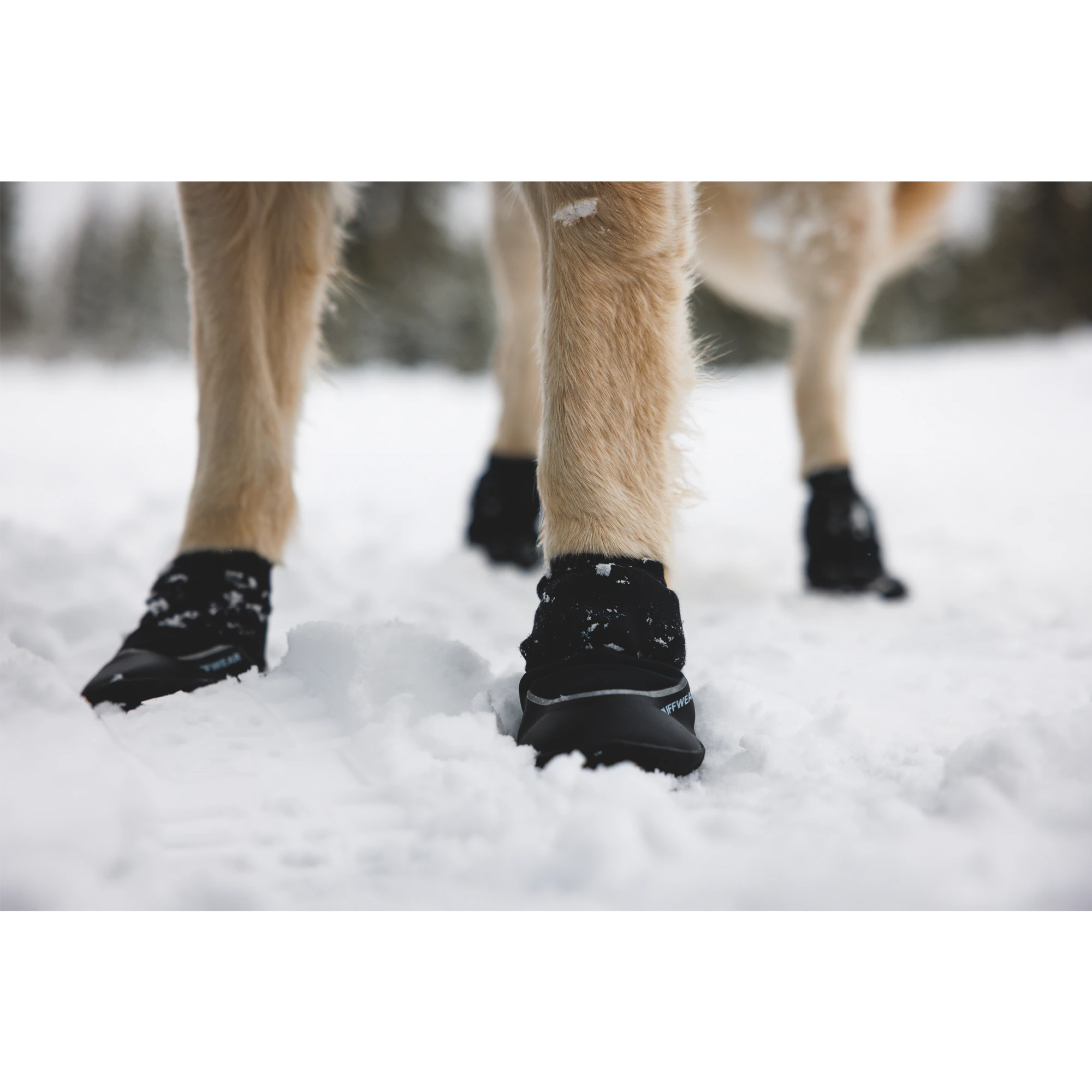 Ruffwear Polar Trex Winter Boots