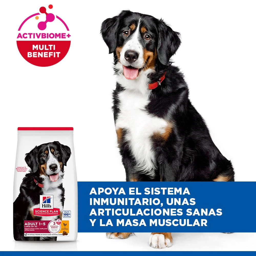 Hill's Science Plan - Large Breed - Adult - Pollo