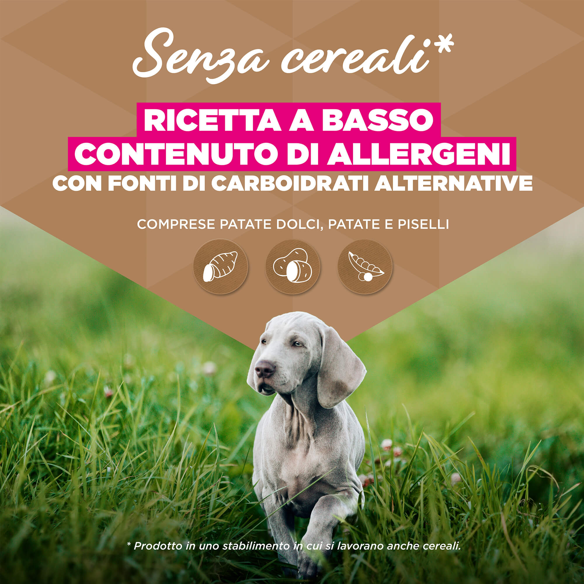 Eukanuba Dog Junior Large Grainfree Cibo per Cani