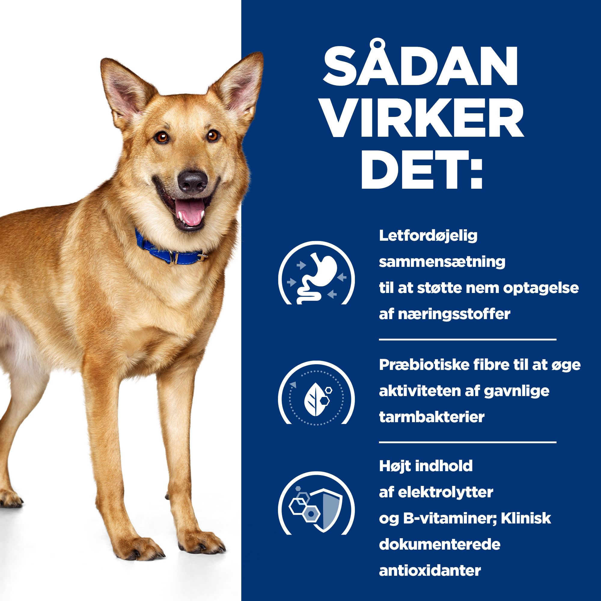 Hill's i/d Digestive Care Stew - Prescription Diet - Hund