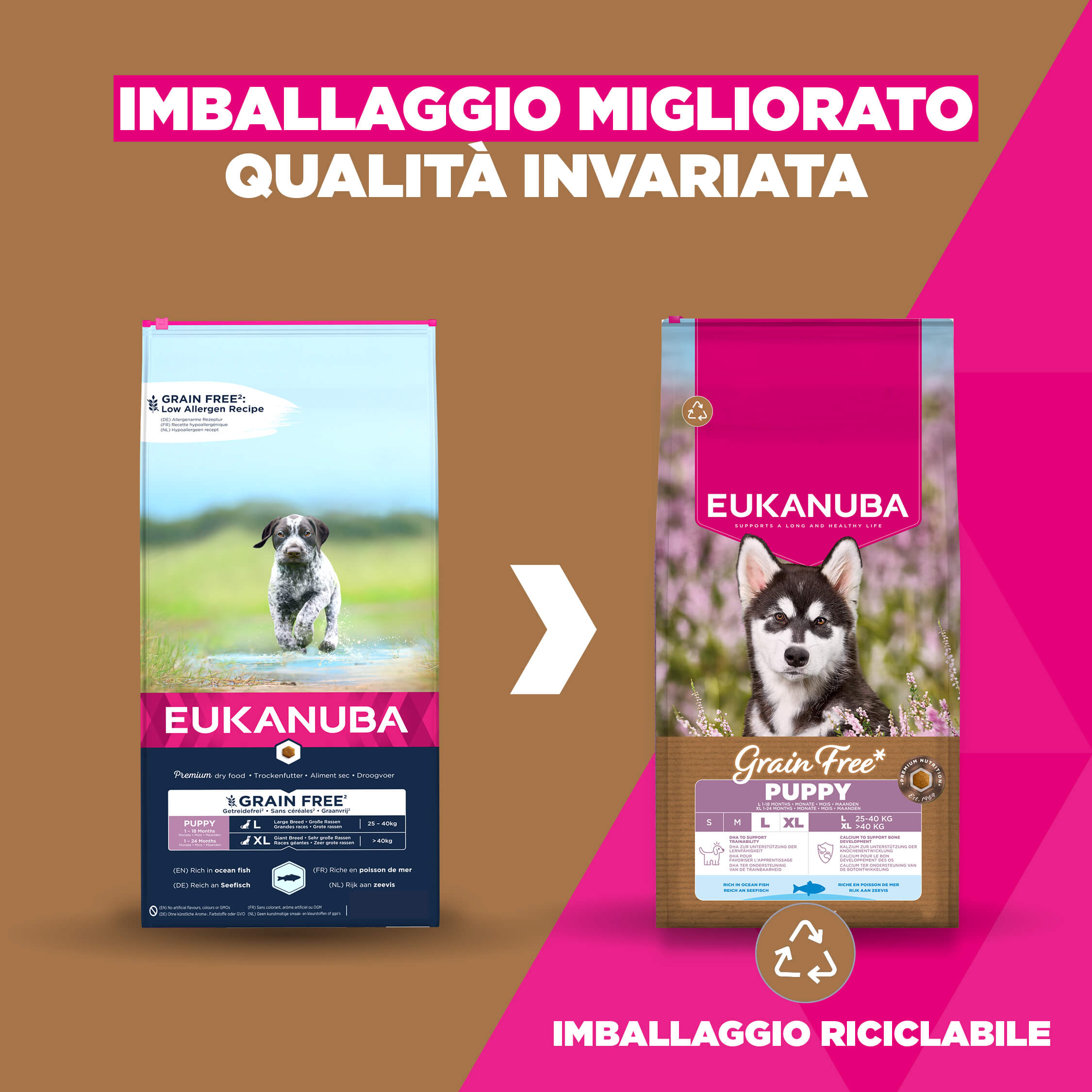 Eukanuba Dog Junior Large Grainfree Cibo per Cani