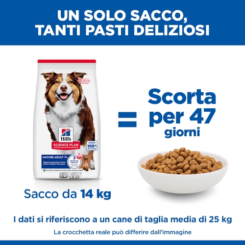 Hill's Science Plan - Medium - Mature Adult 7+ - Agnello e Riso